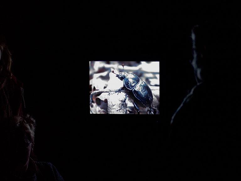 Dweller, installation view at Rincé Alien, solo show at Museum De Pont, Tilburg