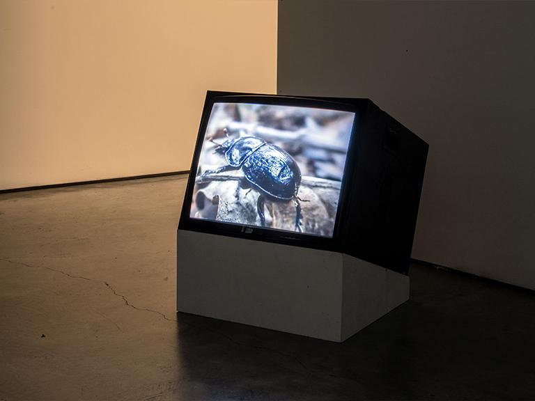 Dweller, installation view at you, tomorrow a solo show at tegenboschvanvreden, Amsterdam